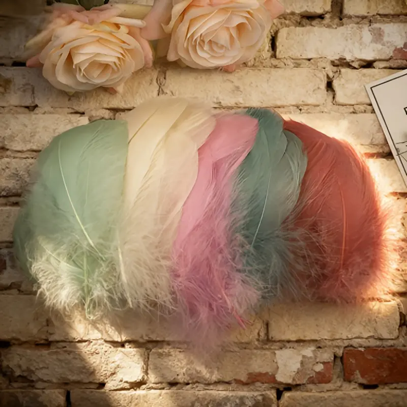 100 pieces of 3.15-4.72 inch synthetic feathers | Photo props suitable for women and girls, carnival decorations, costume accessories, Halloween and Christmas cosplay, neutral fantasy costumes 100 pieces of 3.15-4.72 inch synthetic feathers | Photo props suitable for women and girls, carnival decorations, costume accessories, Halloween and Christmas cosplay, neutral fantasy costumes