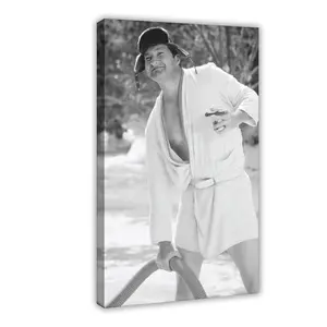 Christmas Bathroom Decor Funny Movie  Print Painting Toilet Humor Bathroom   unique photo car accessory restaurant Modern  Decor anime  green minimalist unframed  decor woman canvas   kitchen sign poster motivational quote high quality golf wall art