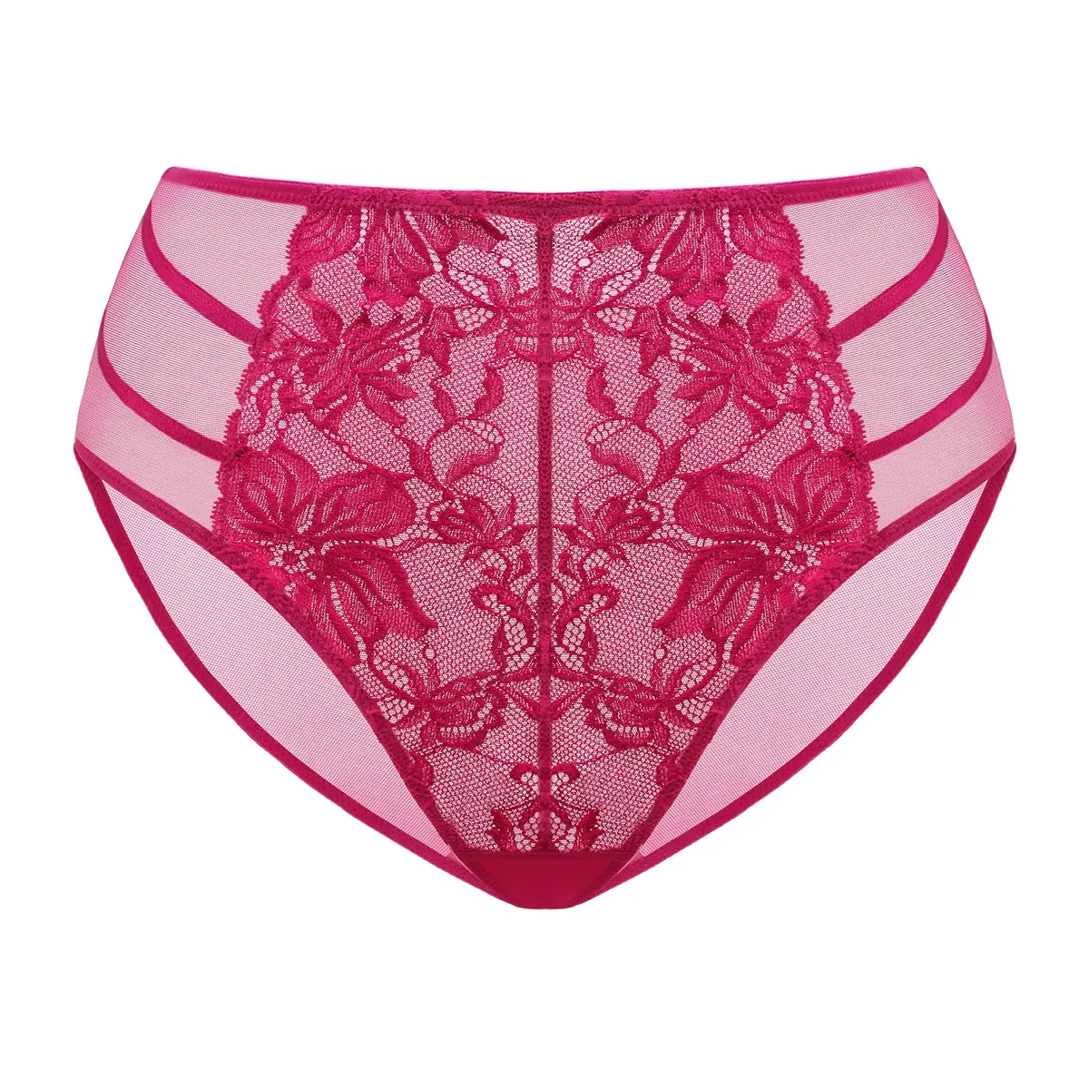 Live Exclusive HSIA Pretty In Petals Floral Lace Sheer Mesh Back Underwear High-Rise Brief Matching Panty