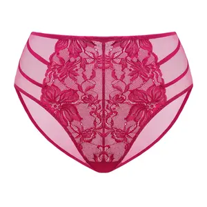 Live Exclusive HSIA Pretty In Petals Floral Lace Sheer Mesh Back Underwear High-Rise Brief Matching Panty