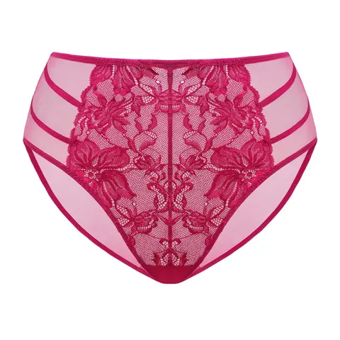 Live Exclusive HSIA Pretty In Petals Floral Lace Sheer Mesh Back Underwear High-Rise Brief Matching Panty