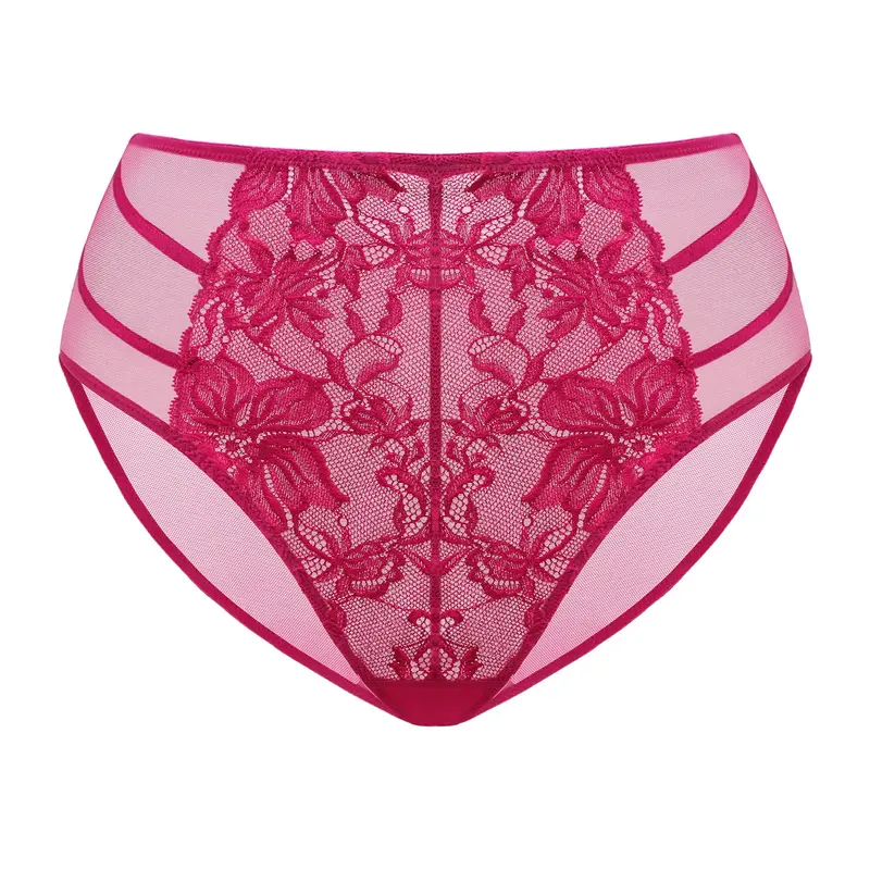 Live Exclusive HSIA Pretty In Petals Floral Lace Sheer Mesh Back Underwear High-Rise Brief Matching Panty