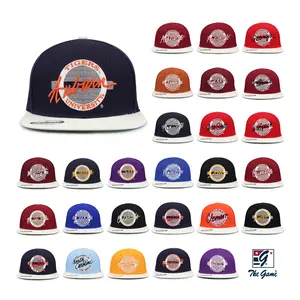 Vintage NCAA Contrast Brim Snapback Hat Collection Retro College Hats Throwback Collegiate Caps 90s Style Adjustable Flat Bill Snapbacks Embroidered University Hats Classic Sportswear The Game Vintage Collection