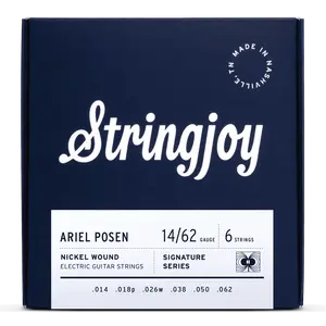 Stringjoy 14-62 Ariel Posen Artist Series Signatures - Nickel Wound Electric Guitar Strings