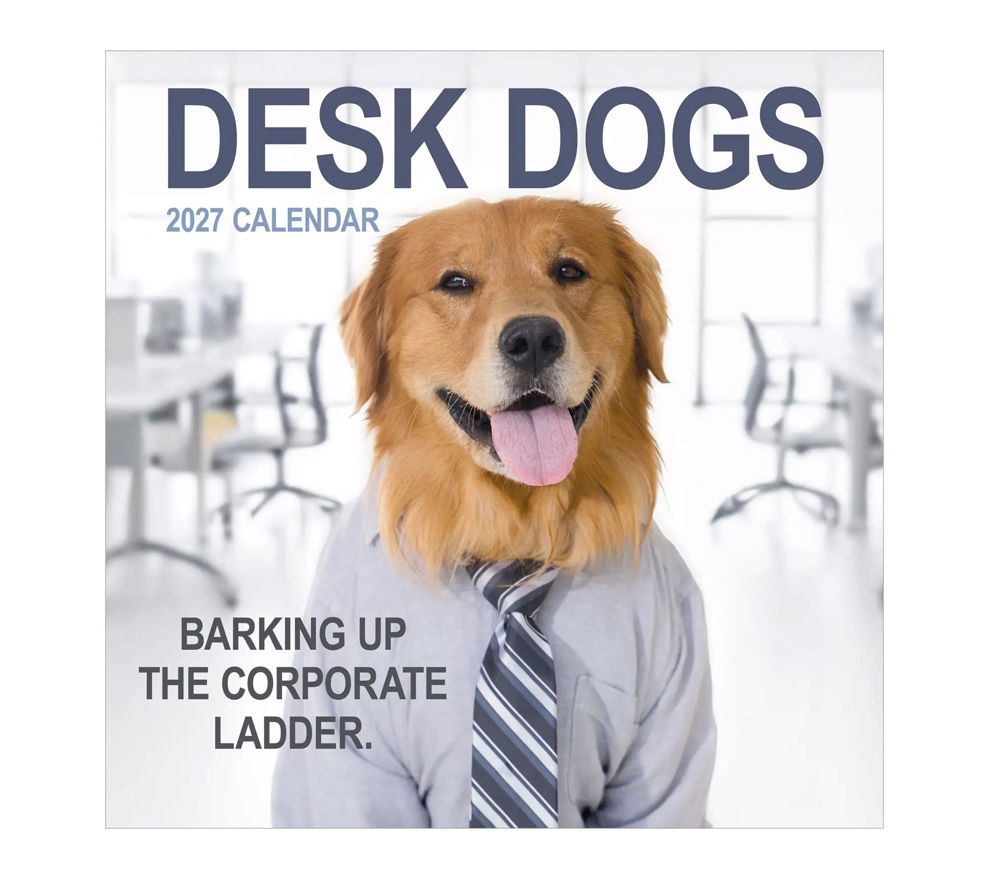 TF Publishing 2027 Desk Dogs Wall Calendar TF Publishing 2027 Desk Dogs Wall Calendar