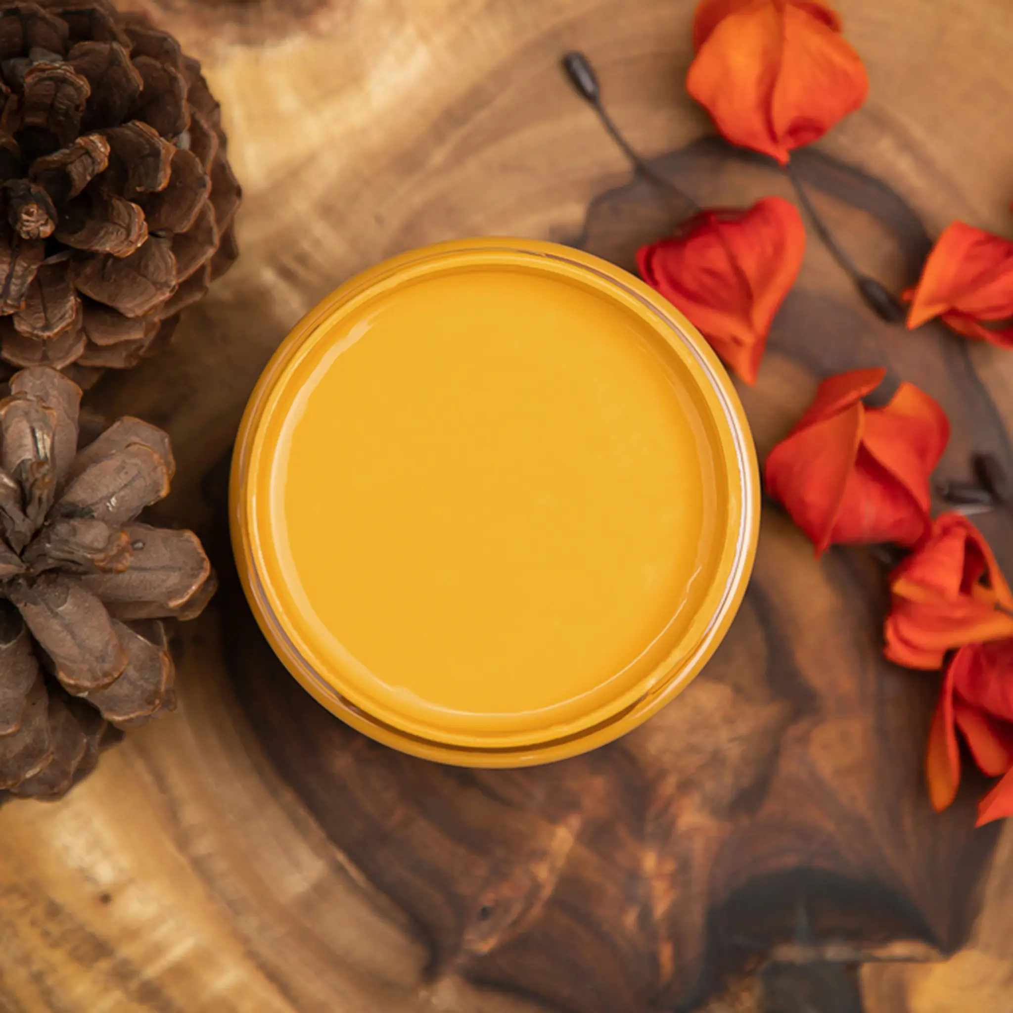 Dixie Belle Paint | COLONEL MUSTARD Chalk Mineral Furniture Paint | Original Product  Rich Color and Versatile Application for Furniture & Home Decor