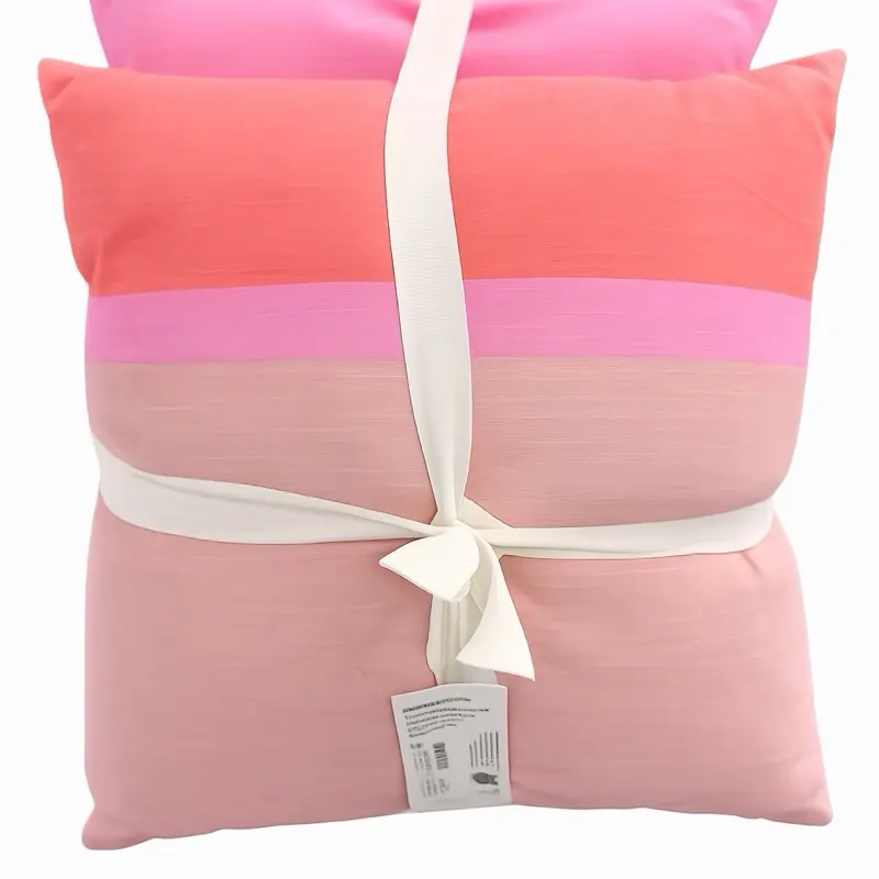 2pc Target Accent Pillows
