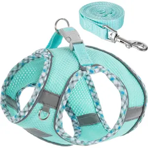 No Pull Dog Harness & Leash for Small Dogs Adjustable Soft Breathable Reflective Step-in Vest Puppy