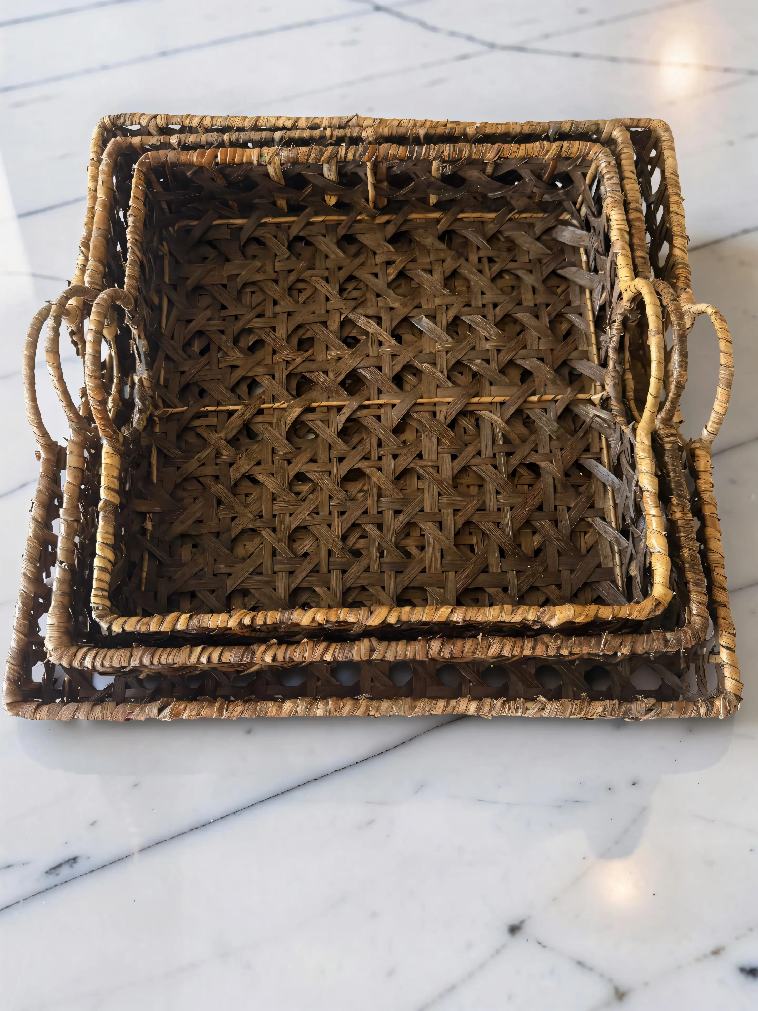 Woven Rattan Trays with Handle -