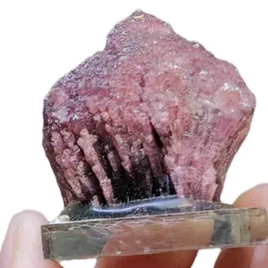 rare Burmese rubellite mushroom tourmaline on schorl crystal shopping