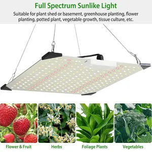 1000W LED Grow Light Full Spectrum for Indoor Plants, Ideal for All Growth Stages from Seedling to Bloom