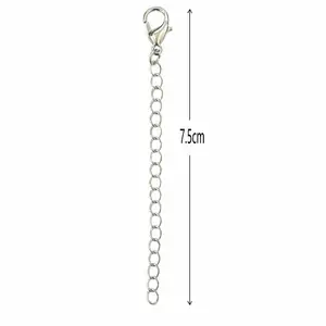 SR Pearl Co. 1 Piece 14k Gold Plated Necklace Extender Chain | Adjustable Necklace Extension | Gold & Silver Jewelry Extender | Layering Necklace Accessory
