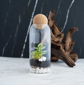Complete Closed terrarium kit with live plants and live moss, bioactive terrarium, mothers day