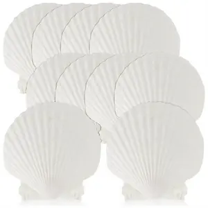 15 PCS Natural Sea Shell Large White, 4-4.7 Inch Scallop Shells for DIY Craft, Serving Food, Baking and More