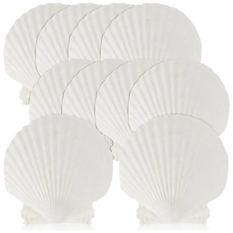 15 PCS Natural Sea Shell Large White, 4-4.7 Inch Scallop Shells for DIY Craft, Serving Food, Baking and More