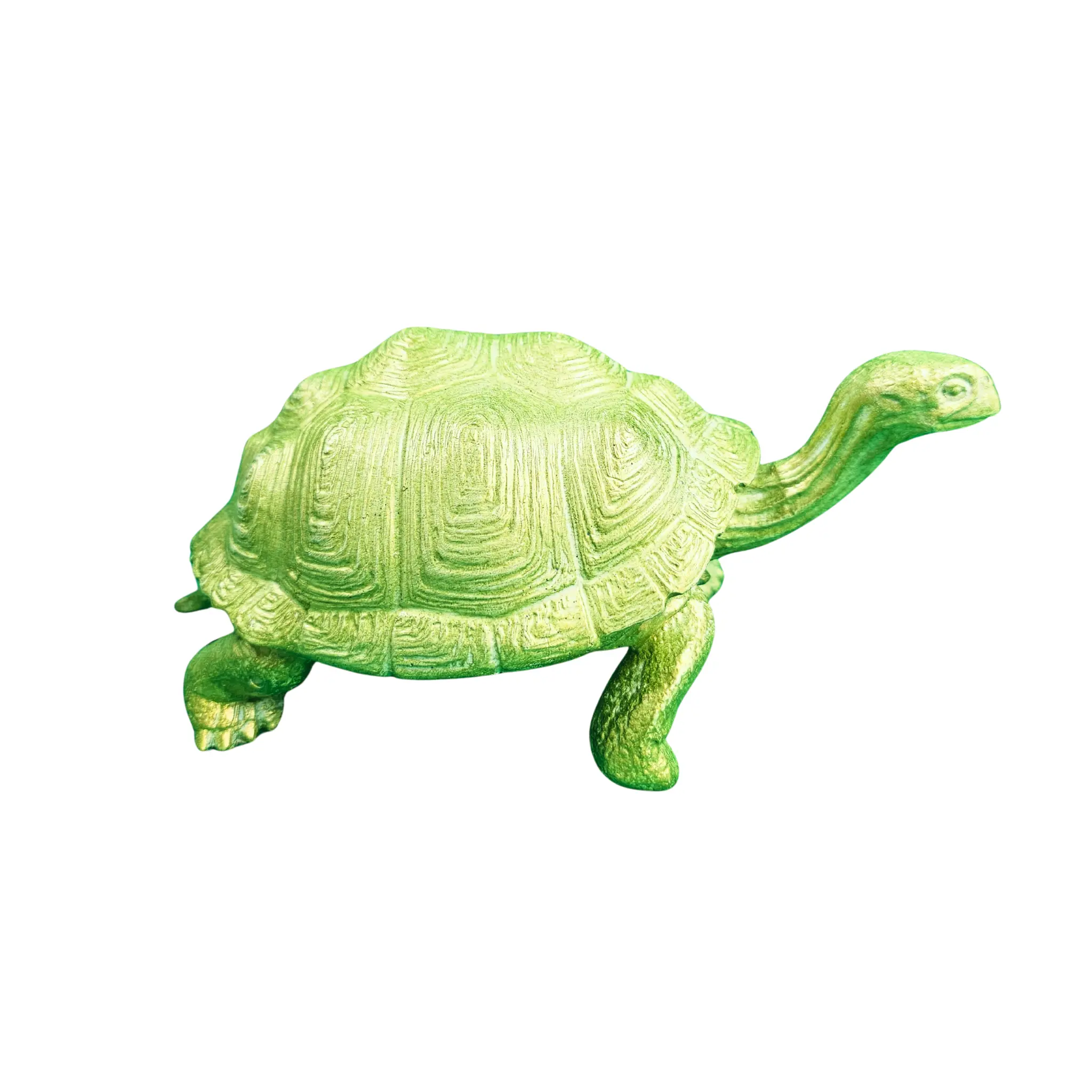 Large Turtle in Epoxy Resin