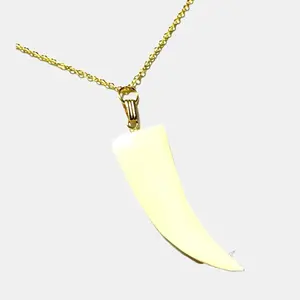1970s Vintage Conch Shell Claw Pendant Necklace with 14K Gold Plated Chain - 18 inch, One of a Kind, Female Jewelry