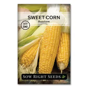 Bantam Sweet Corn Seeds