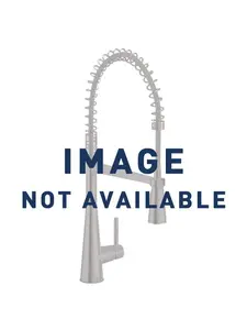 Moen Spout kit