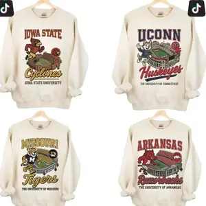 Custom All Team Vintage College Sweatshirt, Retro Football Mascot Stadium Crewneck, Classic Cozy Game Day Outfit Gift Top 9JI