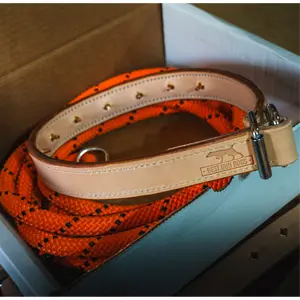 Leather Training Collar