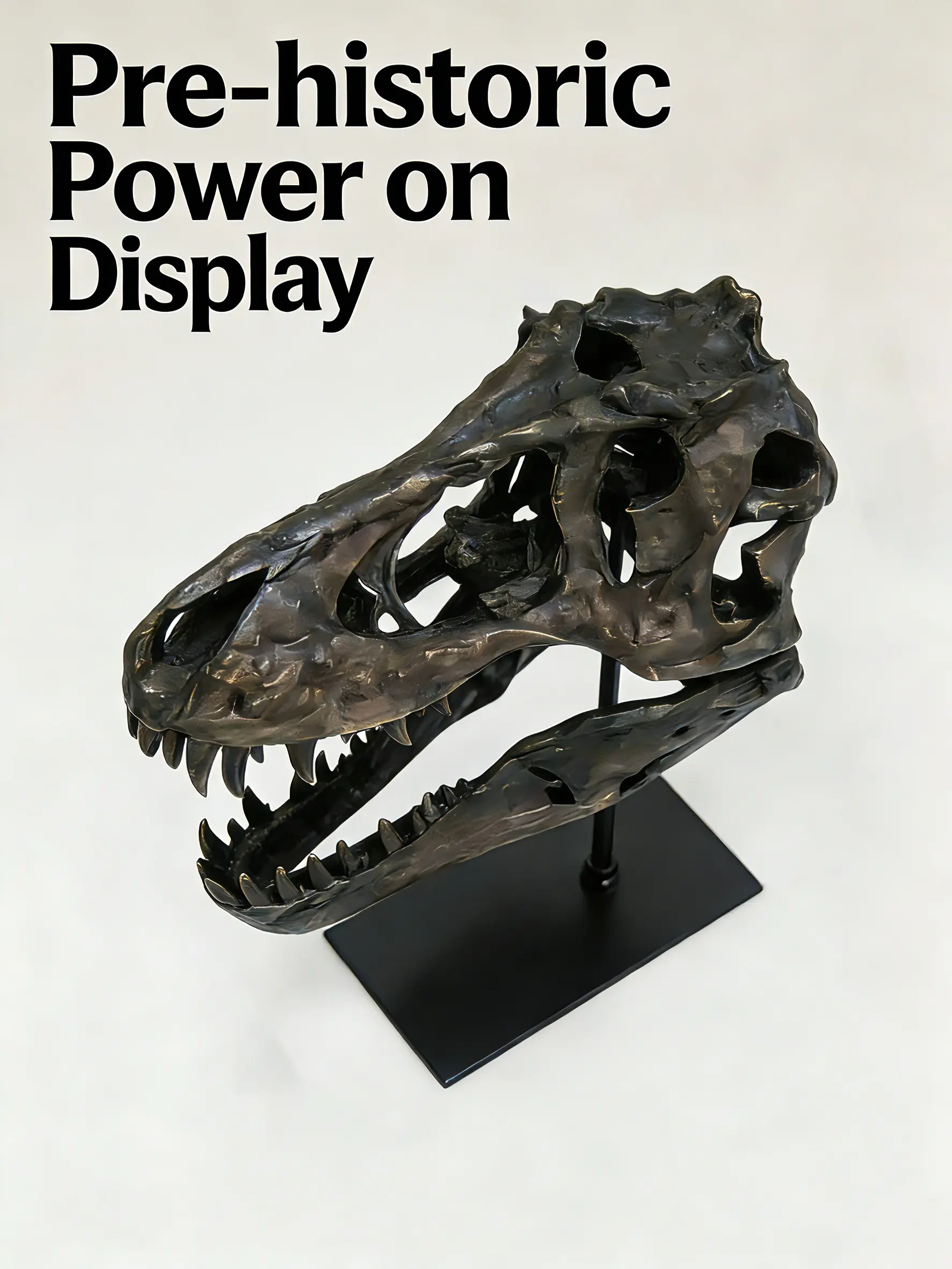T-Rex Skull Decor - Weatherproof Resin T-Rex Skeleton Replica, No-Power Required Prehistoric Decor for Indoor/Outdoor, Black Friday Deal: Dinosaur Home Decor, Christmas Gift for Dino Enthusiasts, Dinosaur Figurine