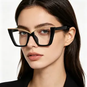 Trendy Big Frame Cat Eye Eyeglasses Retro INS Aesthetic Styling Glasses