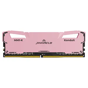 PINNACLE MM1-KONDUIT Performance DDR4 UDIMM Memory Pink