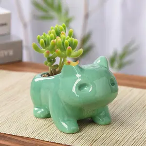 Succulent Pots Frog Flower Pot Ceramic Succulent Planter for Indoor Outdoor Cactus MIni Plants ,Deals for you days