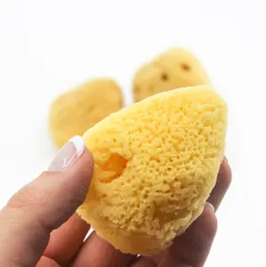 Cosmetic Sponge