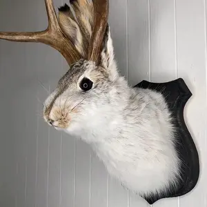 Jackalope Mount, Easter Bunny Wall Decor, Jackalope Taxidermy, Animal Head Wall Decor, Resin Deer Head Animal Wall Mount, for Home Wall Decoration
