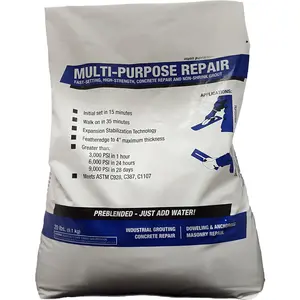 Multi-Purpose Repair - Repair Concrete, Stone, Masonry & Stucco (20 Pound, 1)