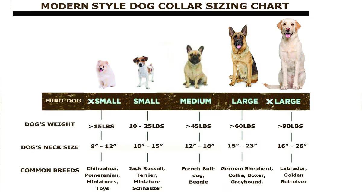 Euro Dog | Traditional Leather Dog Collar with American Leather & European Steel for Training & Comfort Earth Brown Khaki Midnight Black Chocolate Blue Jeans Coral Reef Flat Collar with Stainless Steel Buckle