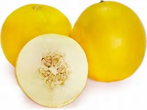 Dua Gang Jumbo Honeydew Melon Harvested Seeds, 2 Packs x 150 Count, Home Planting Vegetable Fruit Seeds for Tropical Exotic Indoor Containers, Balconies, Home Planting Seeds
