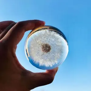 Real 60mm Dandelion Paperweight, Dandelion Resin Crystal Ball with Stand, Office Desktop Home Decor Gift for Dad,Mom,Teacher, Birthday, Wedding Valentine's Mother's Father's Day Gifts