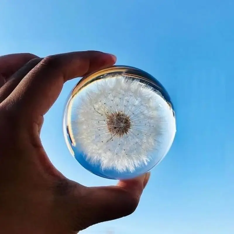 Real 60mm Dandelion Paperweight, Dandelion Resin Crystal Ball with Stand, Office Desktop Home Decor Gift for Dad,Mom,Teacher, Birthday, Wedding Valentine's Mother's Father's Day Gifts