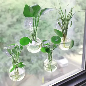Mini Wall Hanging Plant Propagation Bottles, Modern Pet Material, Round Vase for Home Decor, Aquaponic Plant Stems, Indoor Outdoor Use, Hanging Planters