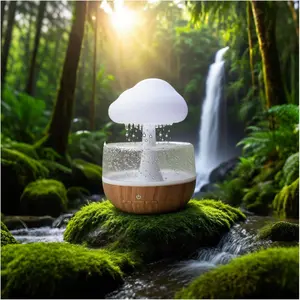 Zen Rain Cloud Night Light-Cordless Tabletop Water Fountain with  Drip Sound,7-Color LED&2000mAh Rechargeable   Decor for Bedroom, Office & Relaxation(No Outlet Needed)