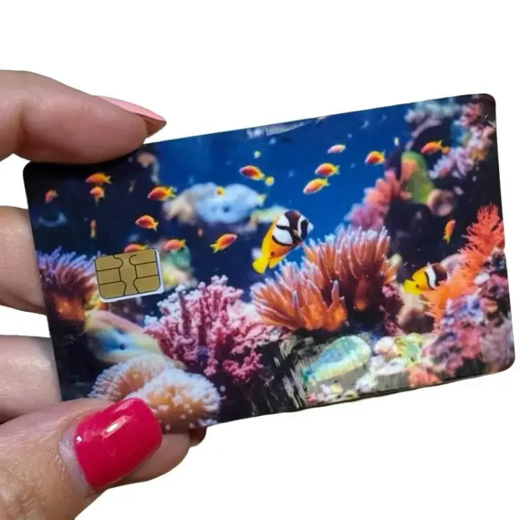 Limited Edition Anime Custom Credit Card Stickers - Fish Motif "Plenty of Fish in the Ocean" Design, Vibrant Print, Personalized Expression, Waterproof, Craft Compatible for DIY Scrapbooking & Stamping Toy Accessories