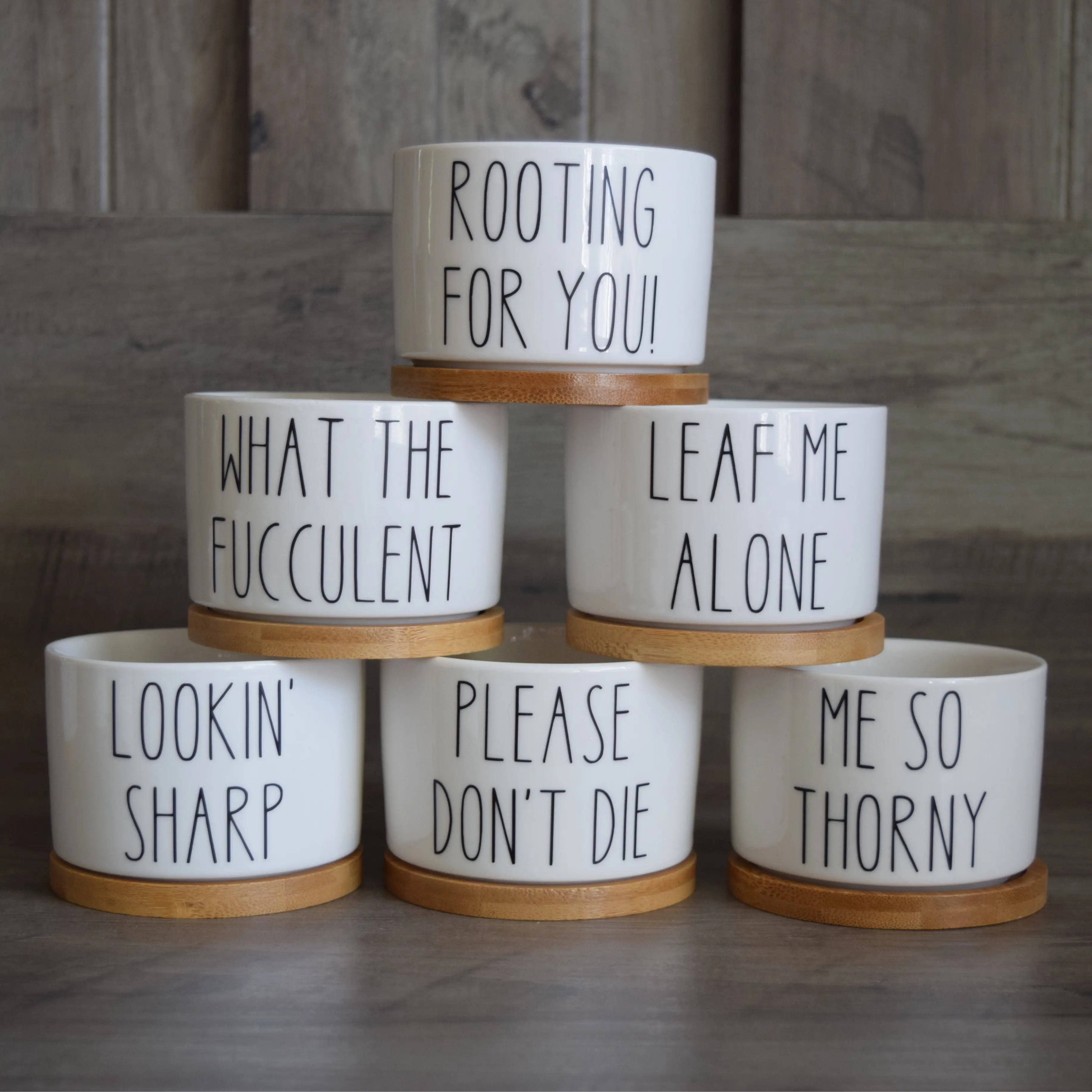 Funny Succulent Pots, Mini Plant Pot With Bamboo Tray, ONE POT