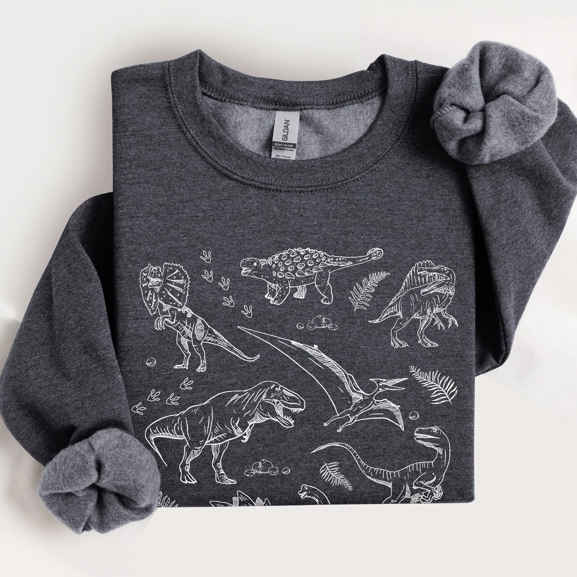 Dinosaur Vintage Style Sweatshirt, Dinosaur World Tshirt, T-Rex Dino Graphic Tee, Dinosaur Park Gifts