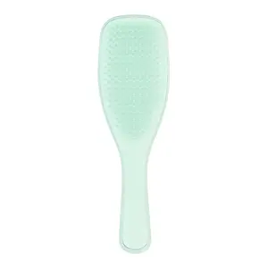 Tangle Teezer Fine & Fragile Hairbrush for Delicate Detangling of Fine, Fragile, Heat-Damaged or Color-Treated Hair in Jade Lagoon Color