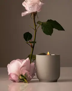 Candle - Packaging 2.0 Wholesale Half Case