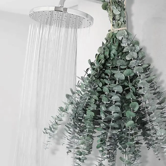 12 PCS Dried Eucalyptus Bundle for Shower - 17" Large Preserved Eucalyptus Stems Home Bathroom Decor Decorative Fruit Plastic Ornaments floral scented