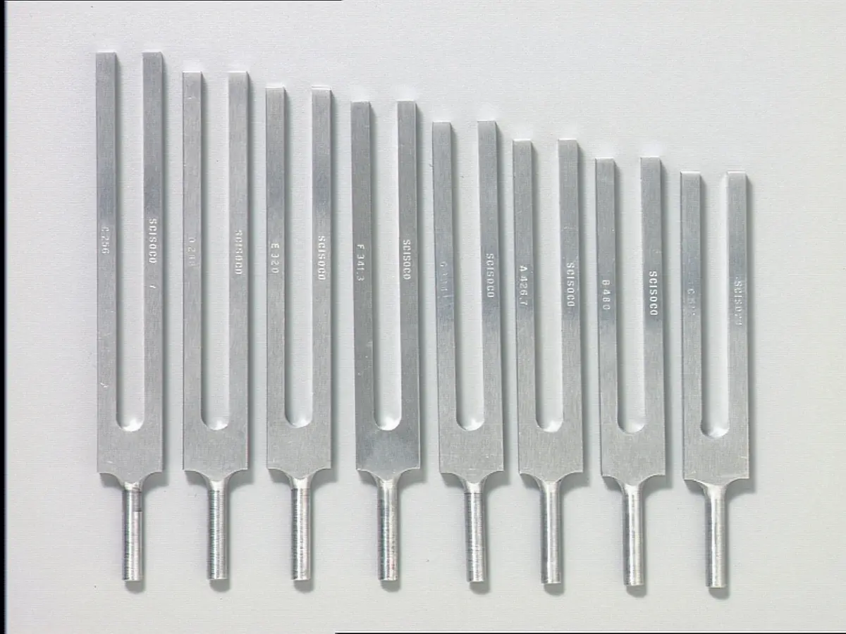 Frey Scientific 574070 Aluminum Tuning Fork - C 256 Hz