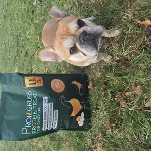 PROILGRUBS 11LBS/10LBS /5 LBS Dried Black Soldier Fly Larvae for chickens,85X More Calcium Than Mealworms,  Non-GMO,All Natural Treats, (BSFL),High Protein High Calcium feed to Boost Egg Productivity stronger eggshell #backtoschool #sohochic #glowup