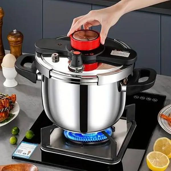 Stainless Steel Pressure Cooker, 8-Inch 6.3 Qt, Induction & Ceramic Hob Compatible Cookware with Glass Steamer Lid
