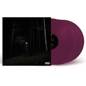 If Looks Could k*ll - Destroy Lonely - Record Album, Vinyl LP