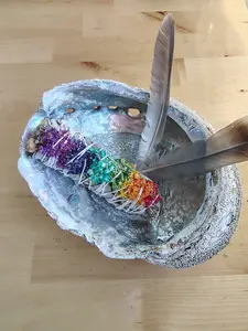 Abalone Shell