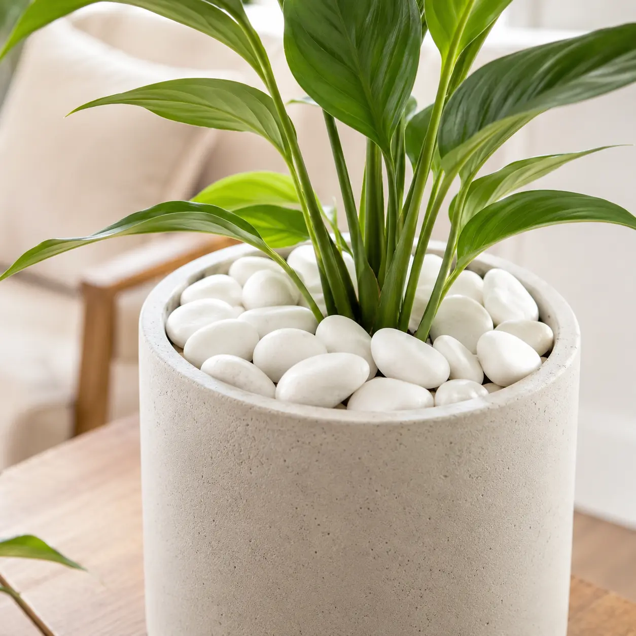 40 lb White Polished Pebbles, 1.18–1.97 Inch Natural Decorative River Rocks, Smooth Garden Stones for Planters, Vases, Landscaping, Flower Beds, Walkways and Indoor Outdoor Home Decor